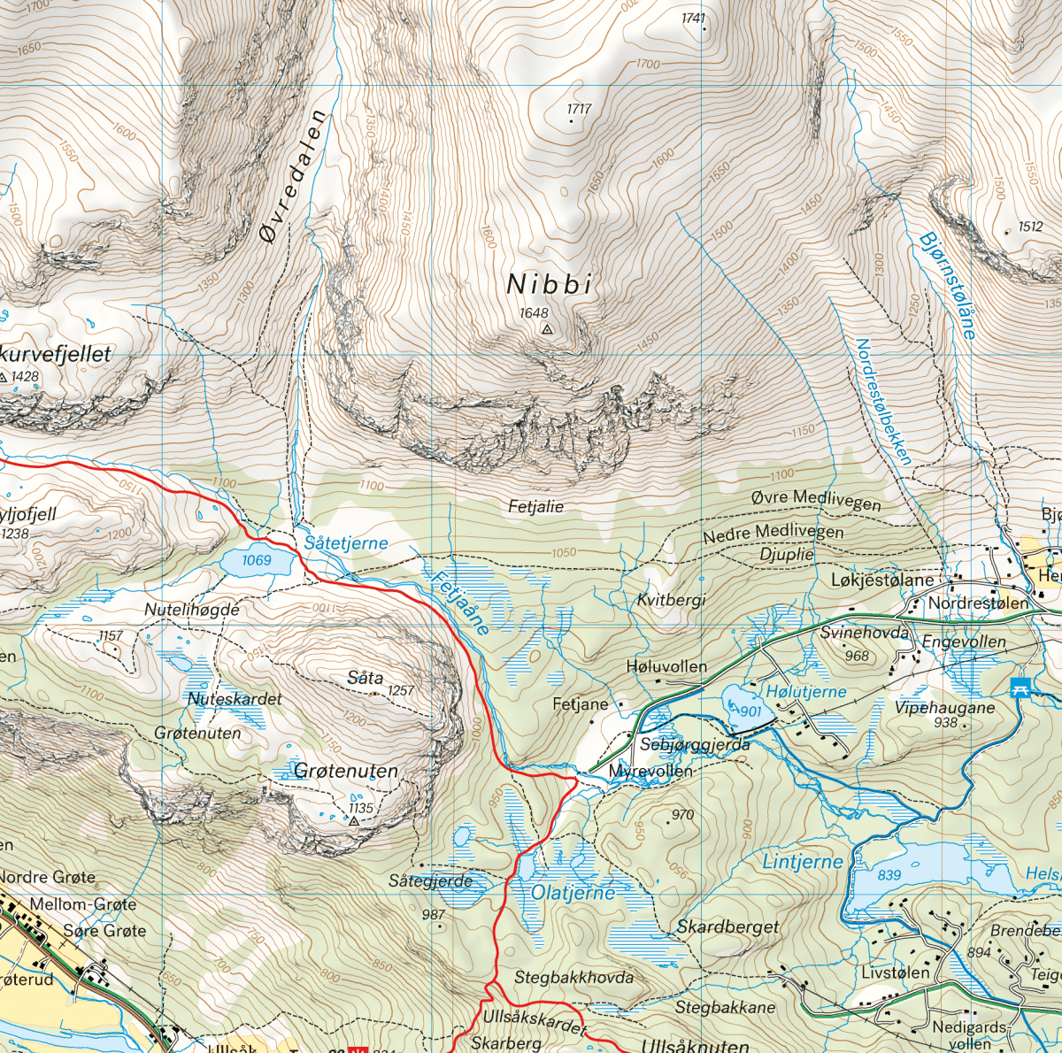 Høyfjellskart Hemsedal 1:25 000