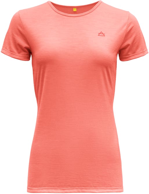 Devold Valldal Tee t-shirt